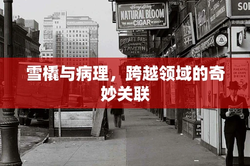 雪橇与病理，跨越领域的奇妙关联