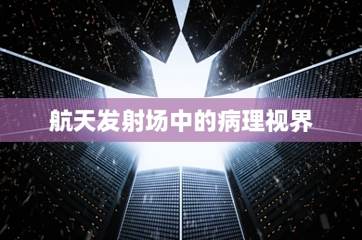 航天发射场中的病理视界