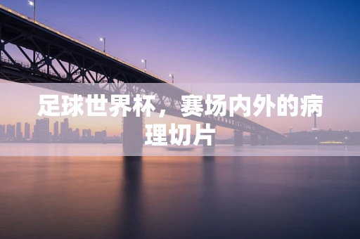足球世界杯，赛场内外的病理切片