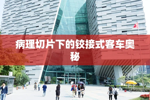 病理切片下的铰接式客车奥秘
