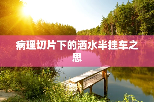病理切片下的洒水半挂车之思