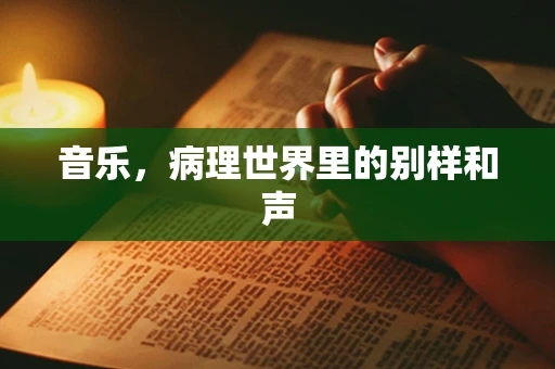 音乐，病理世界里的别样和声
