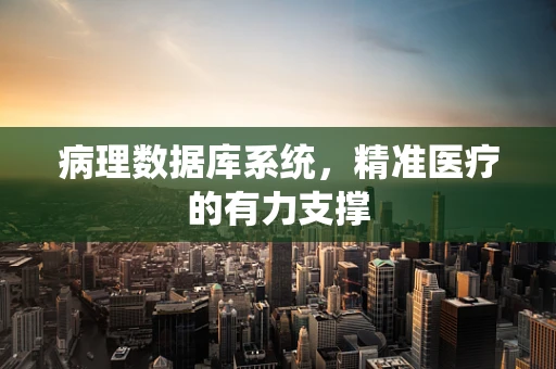 病理数据库系统，精准医疗的有力支撑