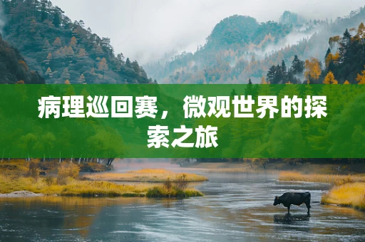 病理巡回赛，微观世界的探索之旅