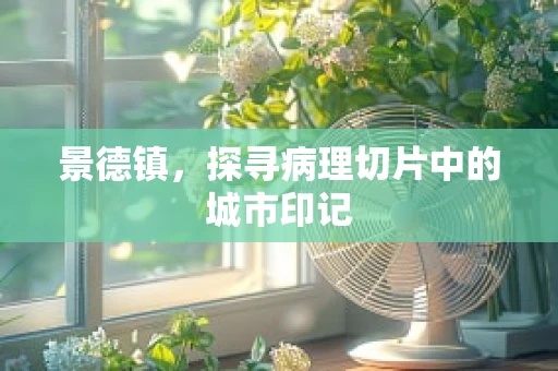 景德镇，探寻病理切片中的城市印记