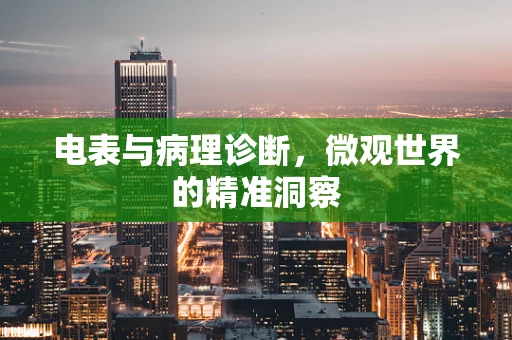 电表与病理诊断，微观世界的精准洞察