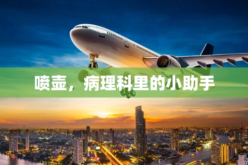 喷壶，病理科里的小助手