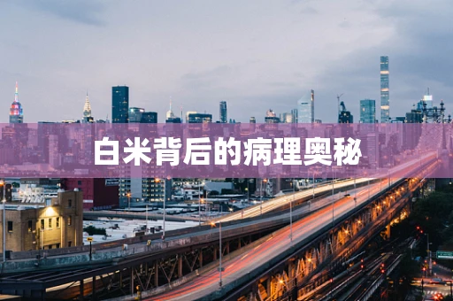 白米背后的病理奥秘
