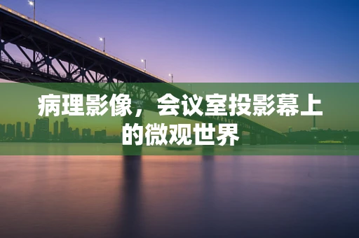 病理影像，会议室投影幕上的微观世界