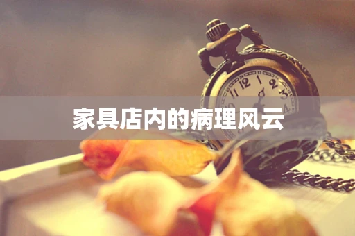 家具店内的病理风云