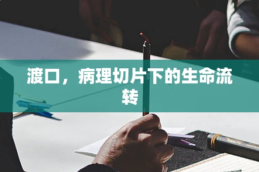 渡口，病理切片下的生命流转