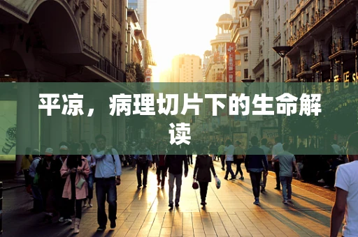 平凉，病理切片下的生命解读
