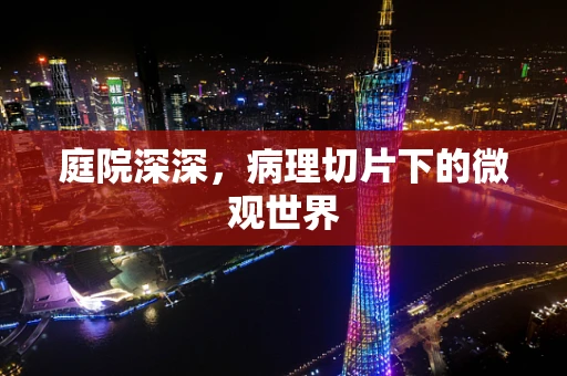 庭院深深，病理切片下的微观世界