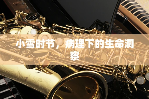 小雪时节，病理下的生命洞察
