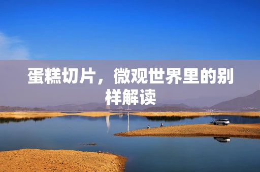 蛋糕切片，微观世界里的别样解读