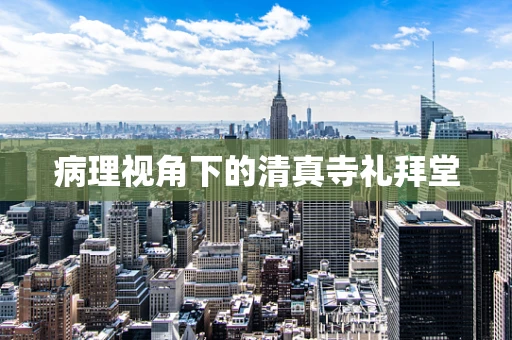病理视角下的清真寺礼拜堂