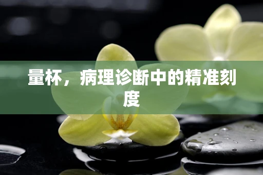 量杯，病理诊断中的精准刻度