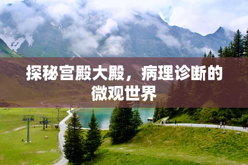 探秘宫殿大殿，病理诊断的微观世界