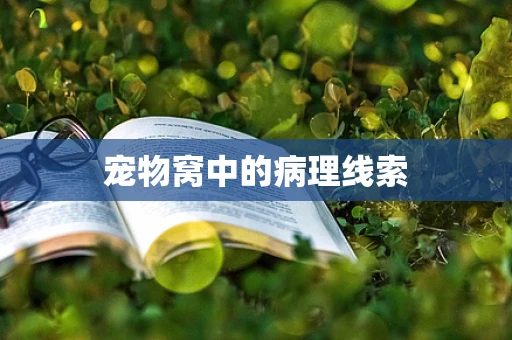 宠物窝中的病理线索