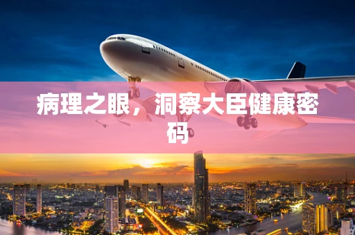 病理之眼，洞察大臣健康密码