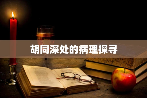 胡同深处的病理探寻