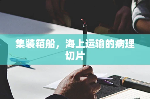 集装箱船，海上运输的病理切片