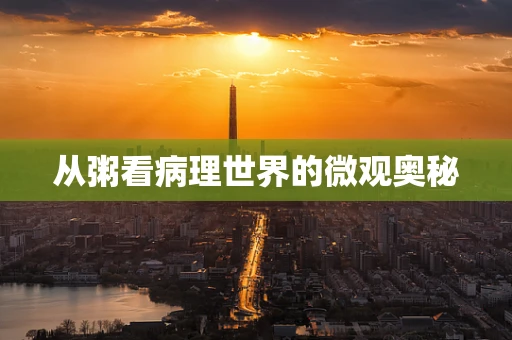 从粥看病理世界的微观奥秘