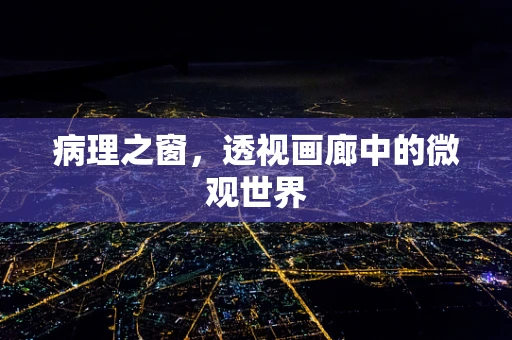 病理之窗，透视画廊中的微观世界