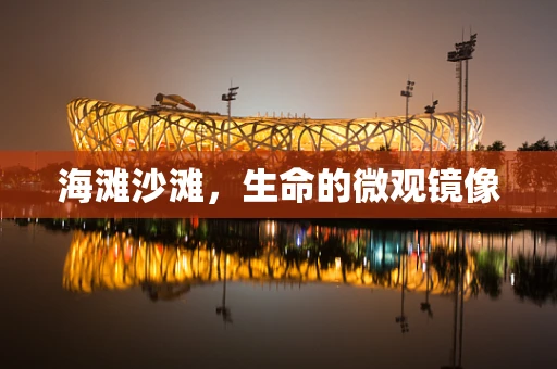 海滩沙滩，生命的微观镜像