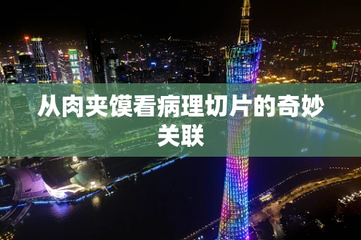 从肉夹馍看病理切片的奇妙关联