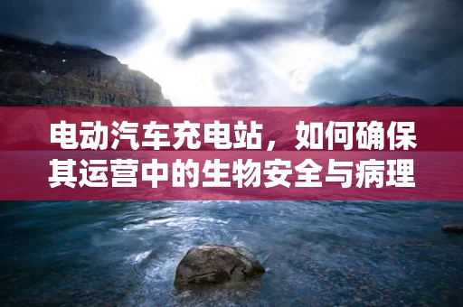电动汽车充电站，如何确保其运营中的生物安全与病理考量？