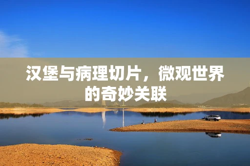 汉堡与病理切片，微观世界的奇妙关联