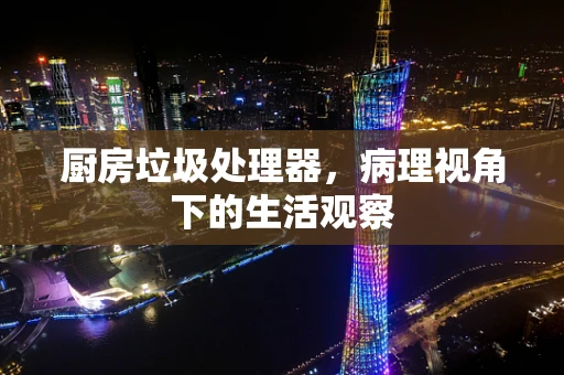 厨房垃圾处理器，病理视角下的生活观察