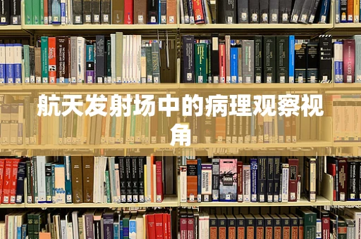 航天发射场中的病理观察视角