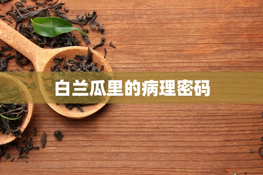 白兰瓜里的病理密码