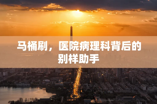 马桶刷，医院病理科背后的别样助手