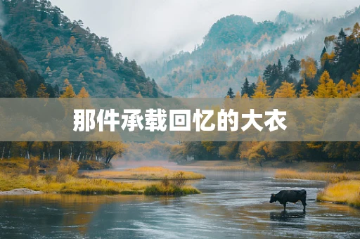 那件承载回忆的大衣