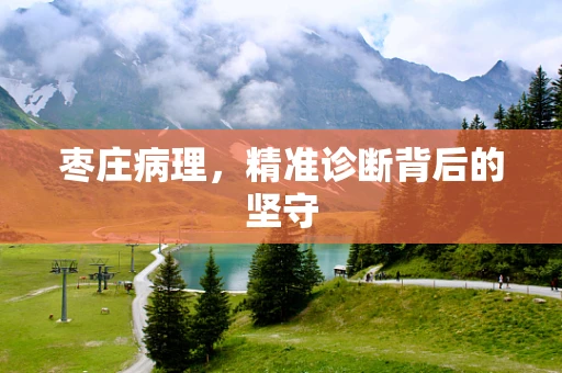 枣庄病理，精准诊断背后的坚守
