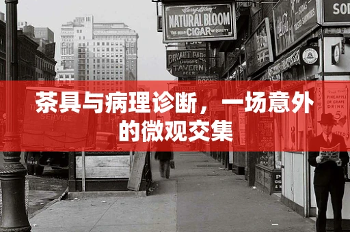 茶具与病理诊断，一场意外的微观交集