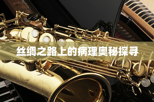 丝绸之路上的病理奥秘探寻