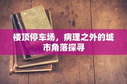楼顶停车场，病理之外的城市角落探寻
