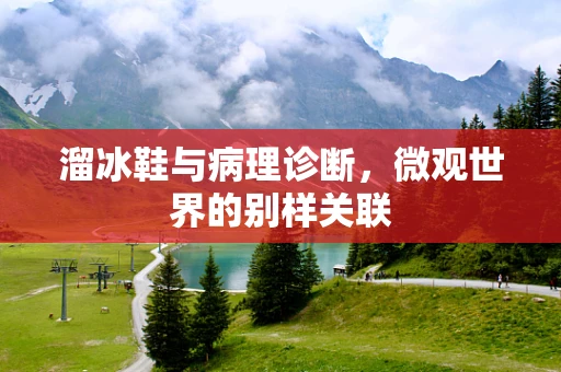溜冰鞋与病理诊断，微观世界的别样关联