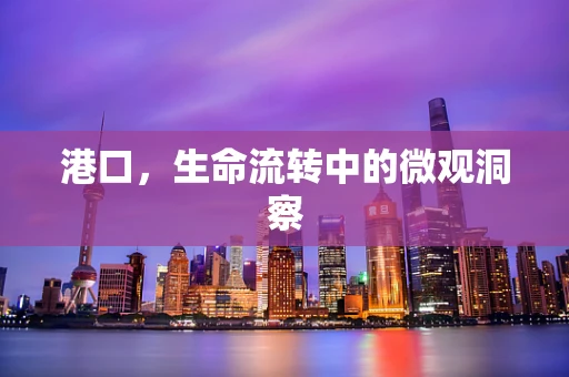 港口，生命流转中的微观洞察