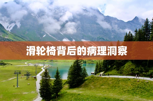 滑轮椅背后的病理洞察