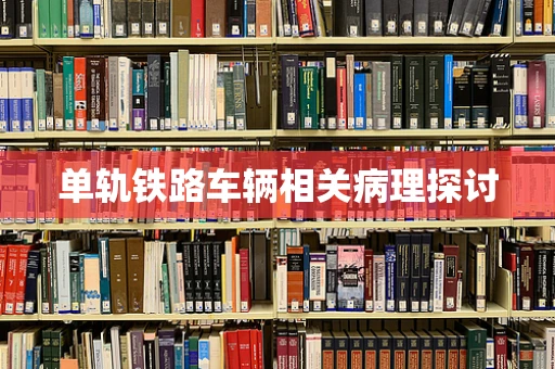 单轨铁路车辆相关病理探讨