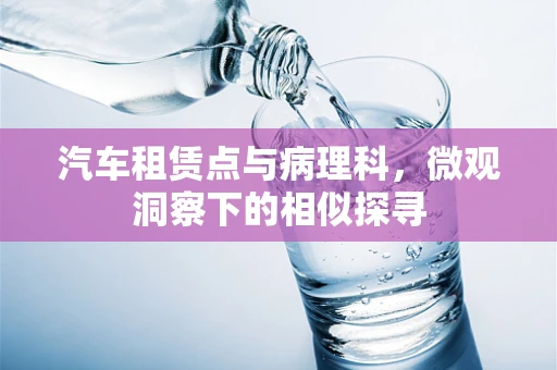 汽车租赁点与病理科，微观洞察下的相似探寻