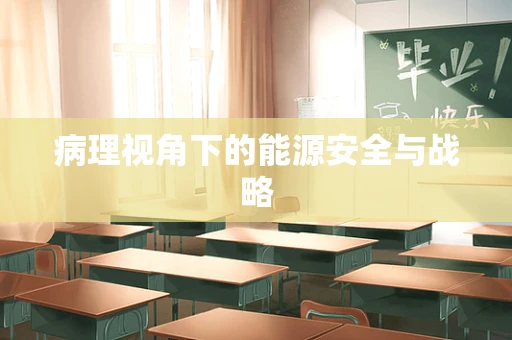 病理视角下的能源安全与战略