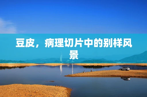 豆皮，病理切片中的别样风景