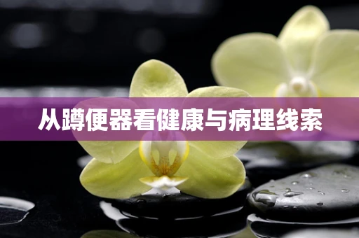 从蹲便器看健康与病理线索