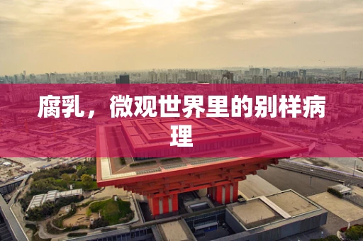腐乳，微观世界里的别样病理